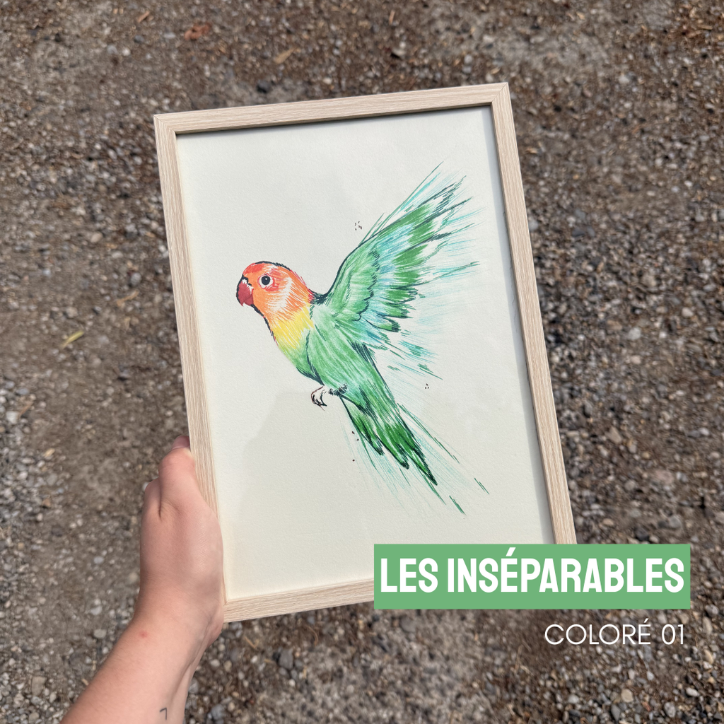 [ILL-ENV-INSC01] Illustrations "Envolée" (Les inséparables - Coloré 01)